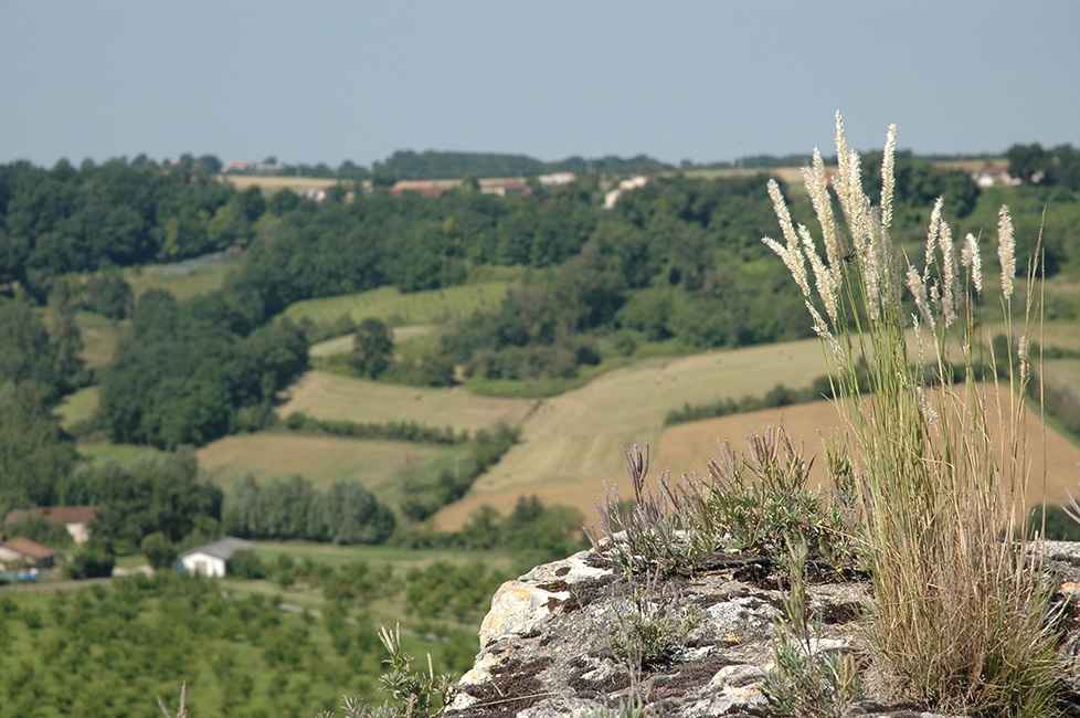 photo de la campagne aux alentours de dolmayrac